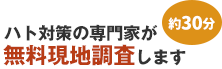 ハト対策の専門家が約30分で無料現地調査します。