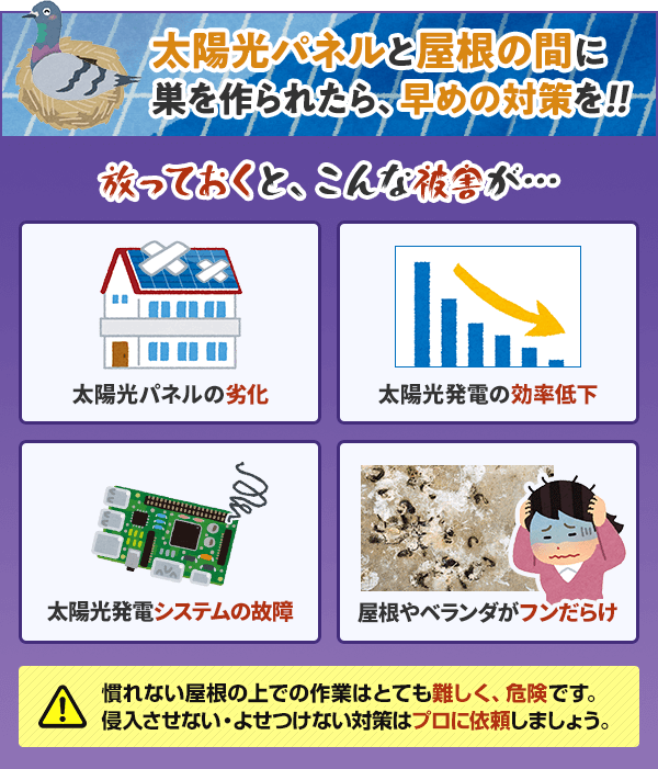太陽光パネルと屋根の間に巣を作られたら早めの対策を