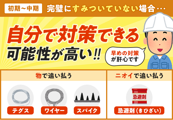 初期中期で完璧に棲みついていない場合は自分で対策できる可能性が高いです。