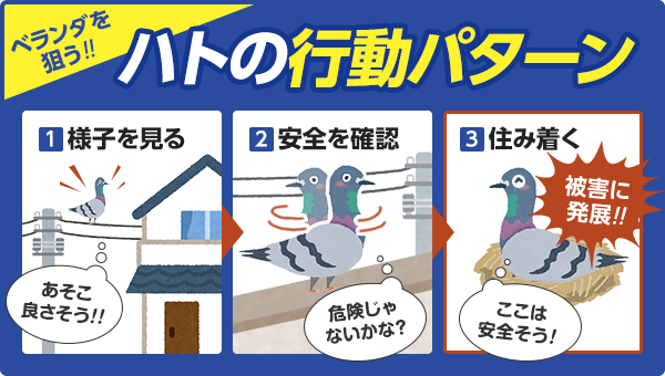 ハトの行動パターン