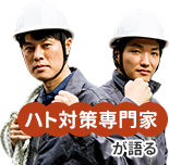 ハト対策専門家が語ります