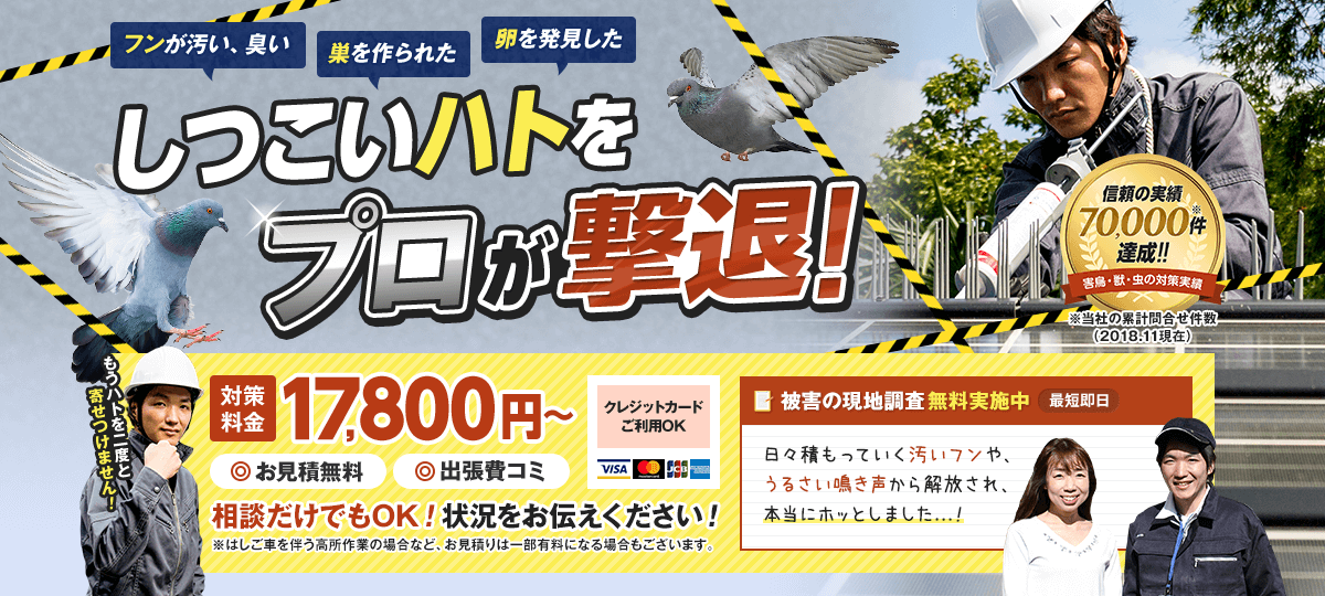 しつこいハトをプロが撃退。17,800(税抜)から。お見積もり無料。出張費込み。ただし、はしご車をともなう高所作業の場合など、お見積りは一部有料になる場合もございます。相談だけでもOKです。状況をお伝えください。