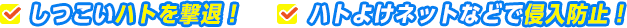 しつこいハトを撃退。ハトよけネットなどで侵入防止。