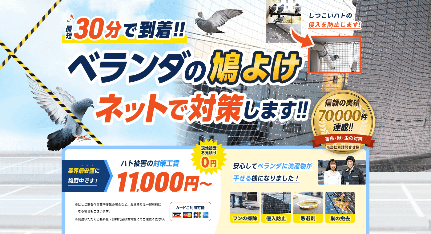 ハト被害はプロにおまかせ。フン害をキレイに掃除し、もう二度とハトを寄せ付けません。