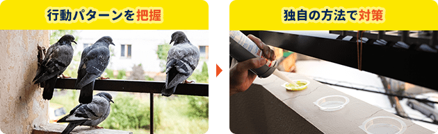 行動パターンを把握。独自の方法で捕獲。