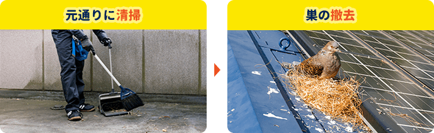 行動パターンを把握。独自の方法で捕獲。