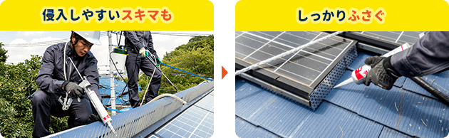 行動パターンを把握。独自の方法で捕獲。