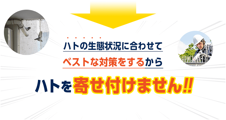 ハトの生態状況に合わせてベストな罠を仕掛けるからどんなハトも追い出し。