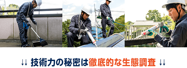 技術力の秘密は徹底的な生態調査