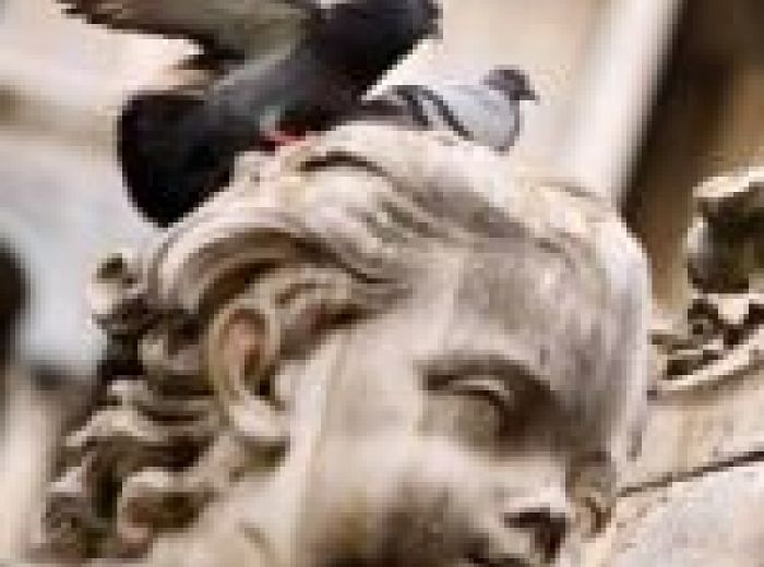 鳩のふんは危険 安全で正しい掃除方法とあなたがすべきハト対策 みんなのハト対策屋さん