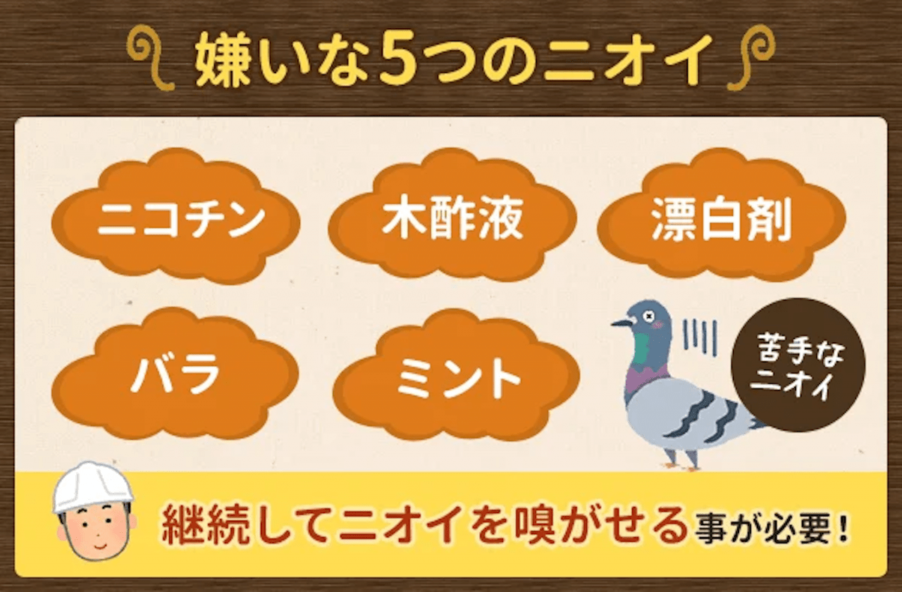 ハトの嫌いなにおいって何？においで対策する方法を教えて！ ｜ みんなのハト対策屋さん